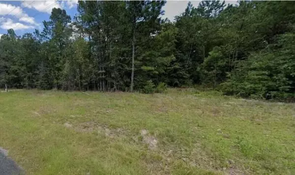 TRACT C FINBACK ROAD, Wagener, SC 29164