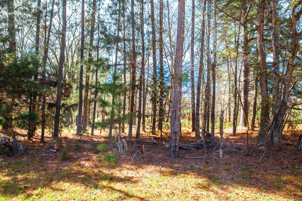 Appling, GA 30802,LOT 7 MISTLETOE RD