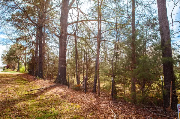 LOT 8 MISTLETOE RD,  Appling,  GA 30802