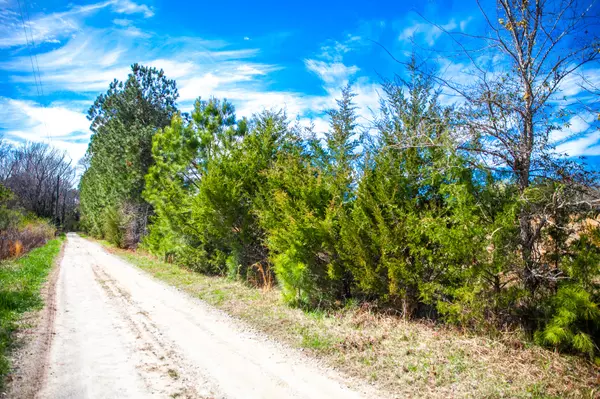 Appling, GA 30802,LOT 9 MISTLETOE RD