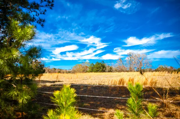 Appling, GA 30802,LOT 9 MISTLETOE RD