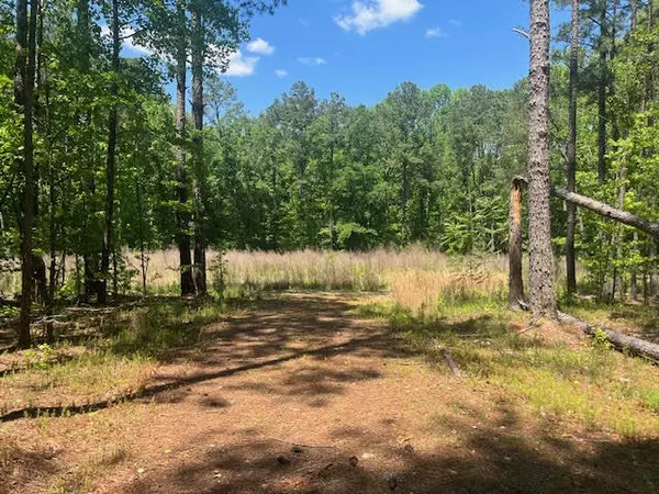 Lincolnton, GA 30817,0000 DOOLY SPRINGS