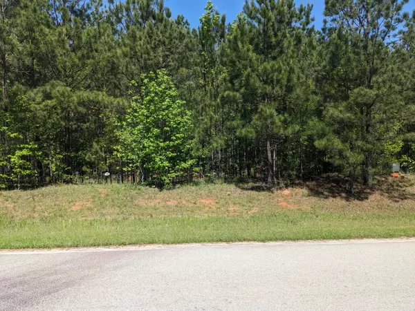 Lincolnton, GA 30817,Lot 51 Willow Way