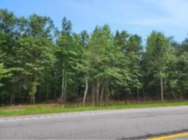 TRACT 5 TINKER CREEK, Williston, SC 29853