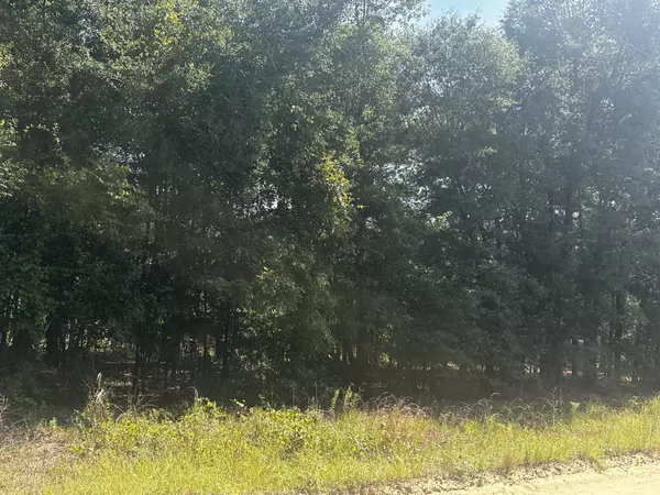 Hephzibah, GA 30815,LOT 34 PINE NEEDLE RD