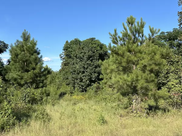 Midville, GA 30441,0 NETHERLAND DR