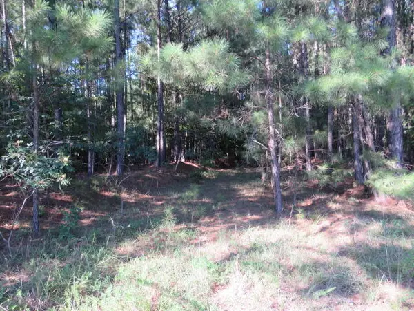 Lincolnton, GA 30817,0 MARINERS WAY