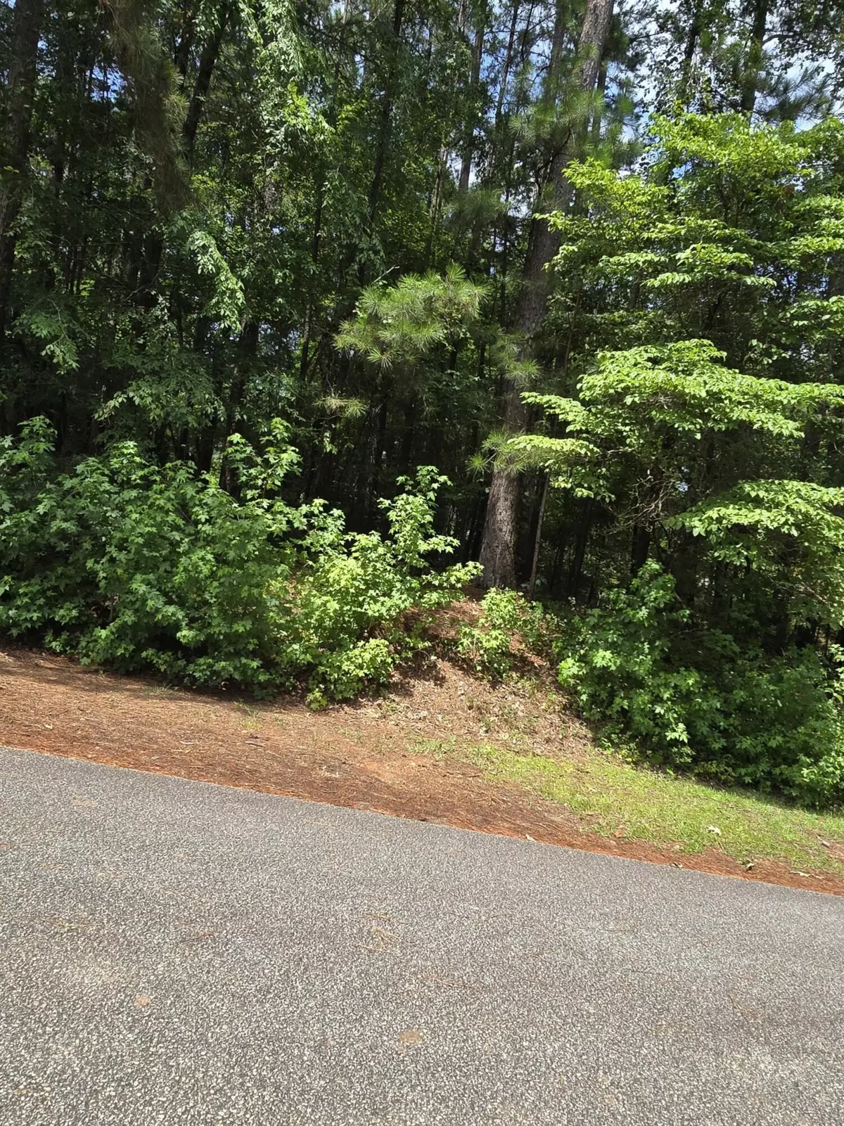 Mccormick, SC 29835,L5 B 23 BRASSIE DR
