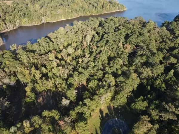 Tignall, GA 30668,LOT 14,15 N POINTE DR