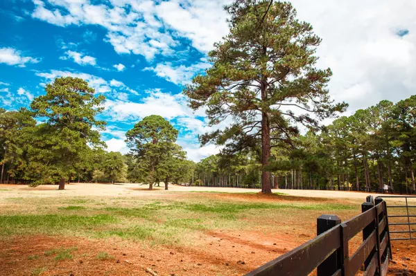 Appling, GA 30802,96 CHIGOE LN