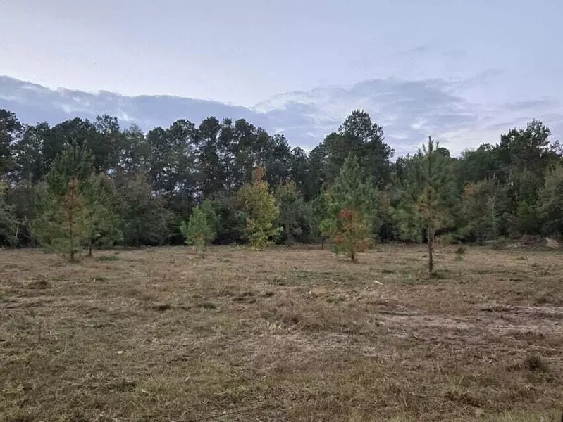 LOT A ASH LANE, Williston, SC 29853