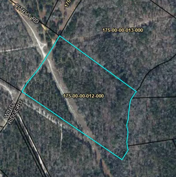 TBD WINDY RIDGE RD, Trenton, SC 29847