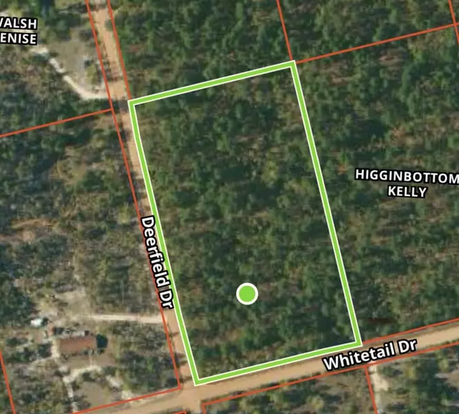 TBD DEERFIELD DR, Williston, SC 29853