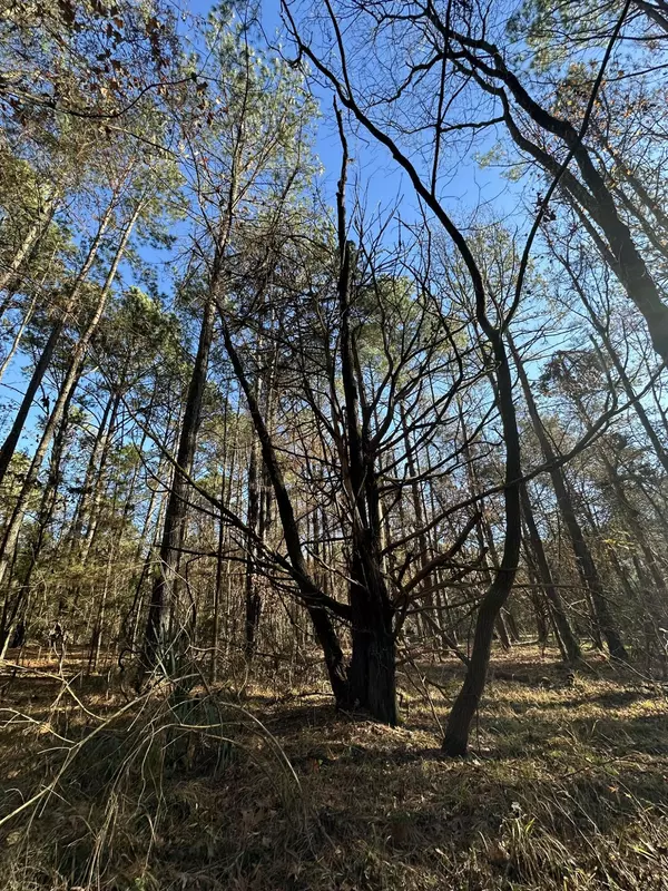 Washington, GA 30673,LOT 3 SAGGUS RD