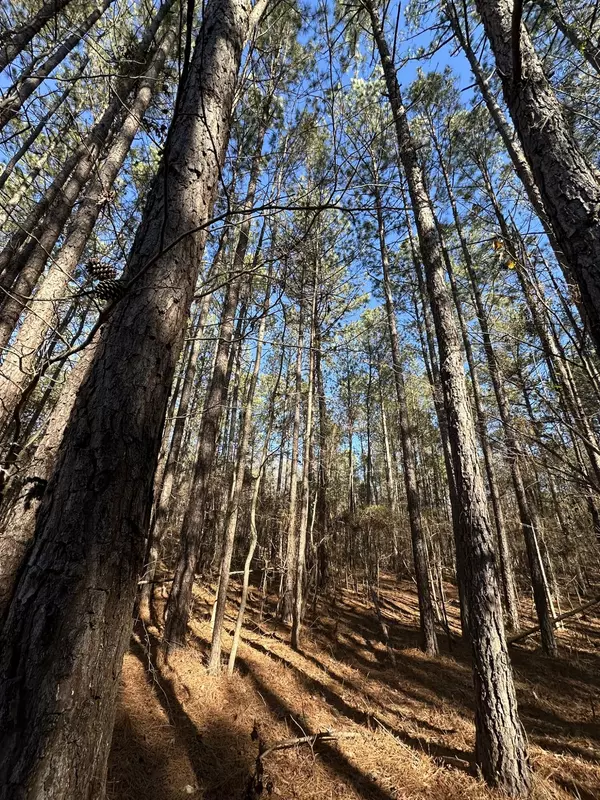 Lincolnton, GA 30817,LOT 37 PETERSBURG TRCE