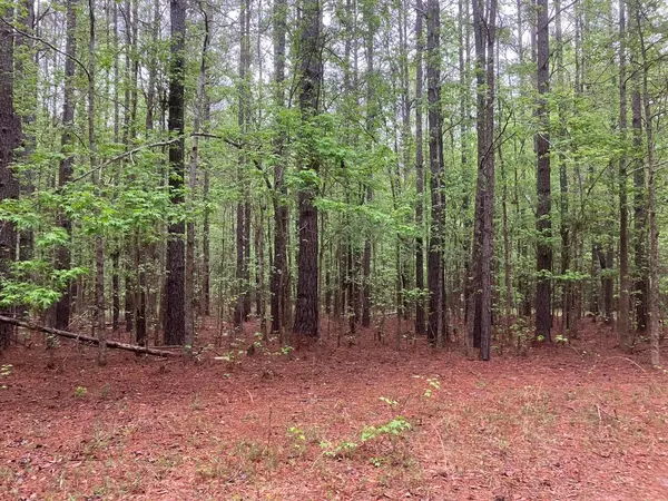 925 NEPTUNE TRAIL,  Appling,  GA 30802