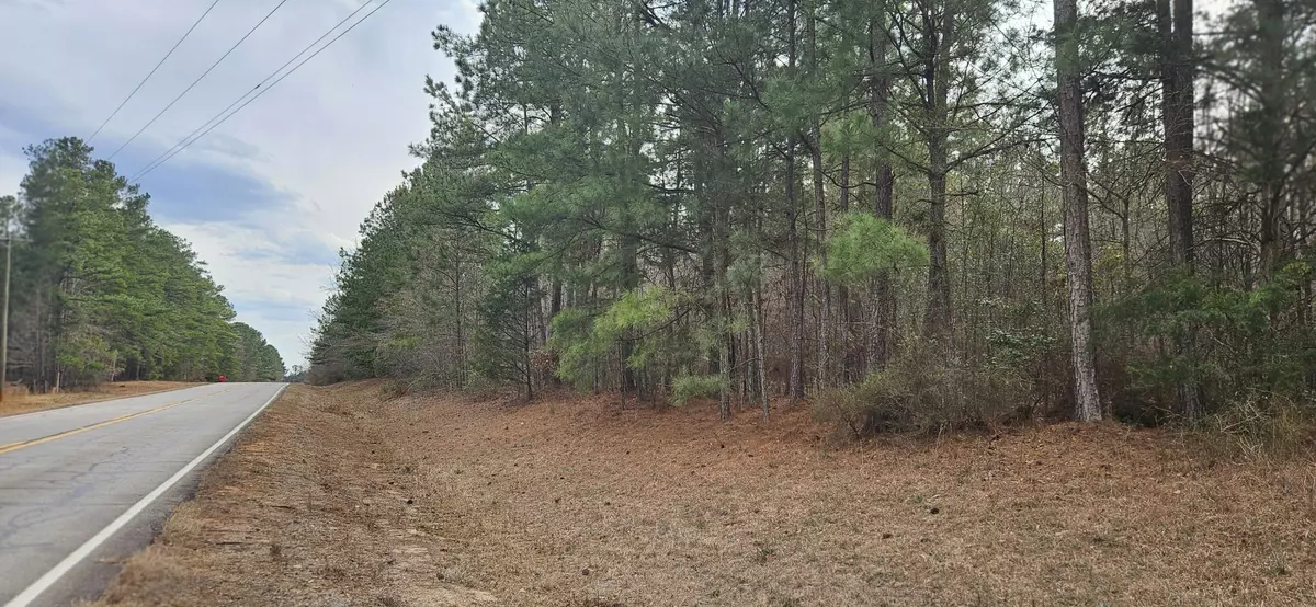 Lincolnton, GA 30817,0 HWY 220 TRACT B