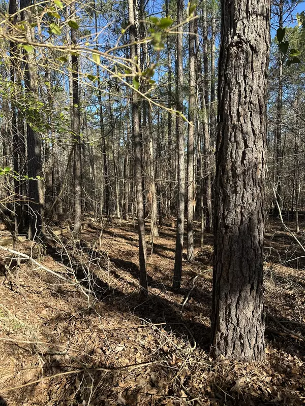North Augusta, SC 29860,1048 LONGSTREET PL