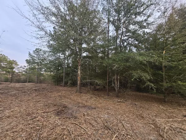 Williston, SC 29853,LOT 5 BLUE BONNET VALLEY