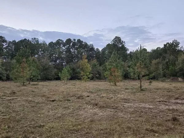 Williston, SC 29853,LOT 27,28 ASH LANE