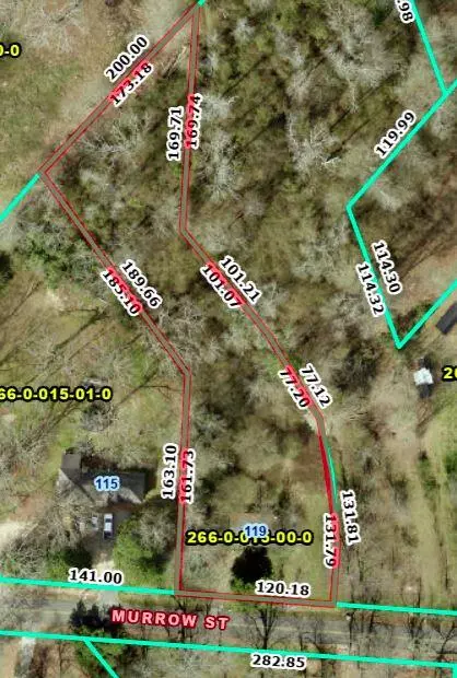 Blythe, GA 30805,119 MURROW ST