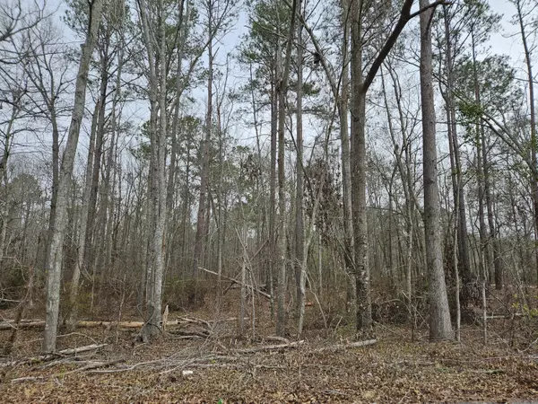 Dearing, GA 30808,5485/5486 MITCHNER ROAD EXTENSION