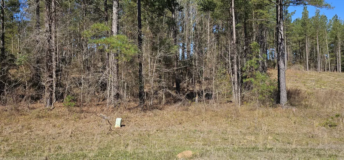 Hephzibah, GA 30815,107 LOBLOLLY LN