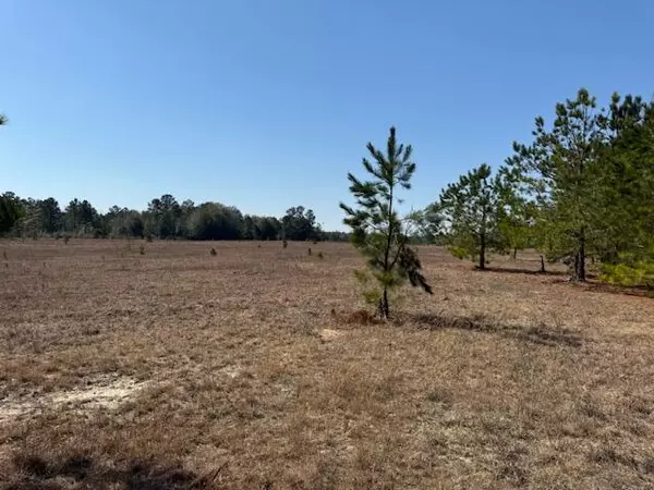 Williston, SC 29853,TBD HIGHWAY 39