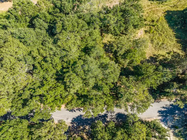 Barnwell, SC 29812,Lot 13 Mallard DR