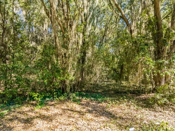 Lot 13 Mallard DR, Barnwell, SC 29812