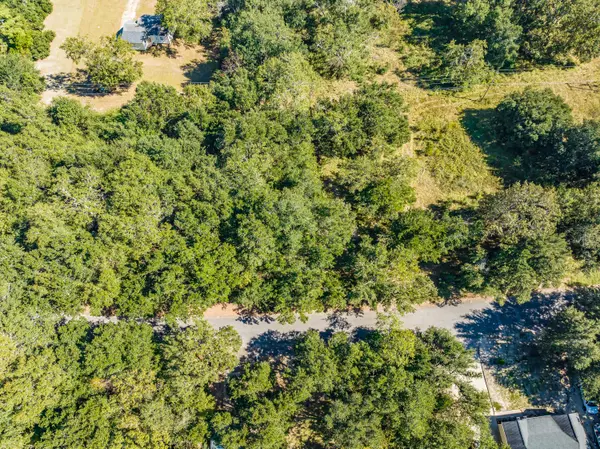 Barnwell, SC 29812,Lot 14 Mallard DR