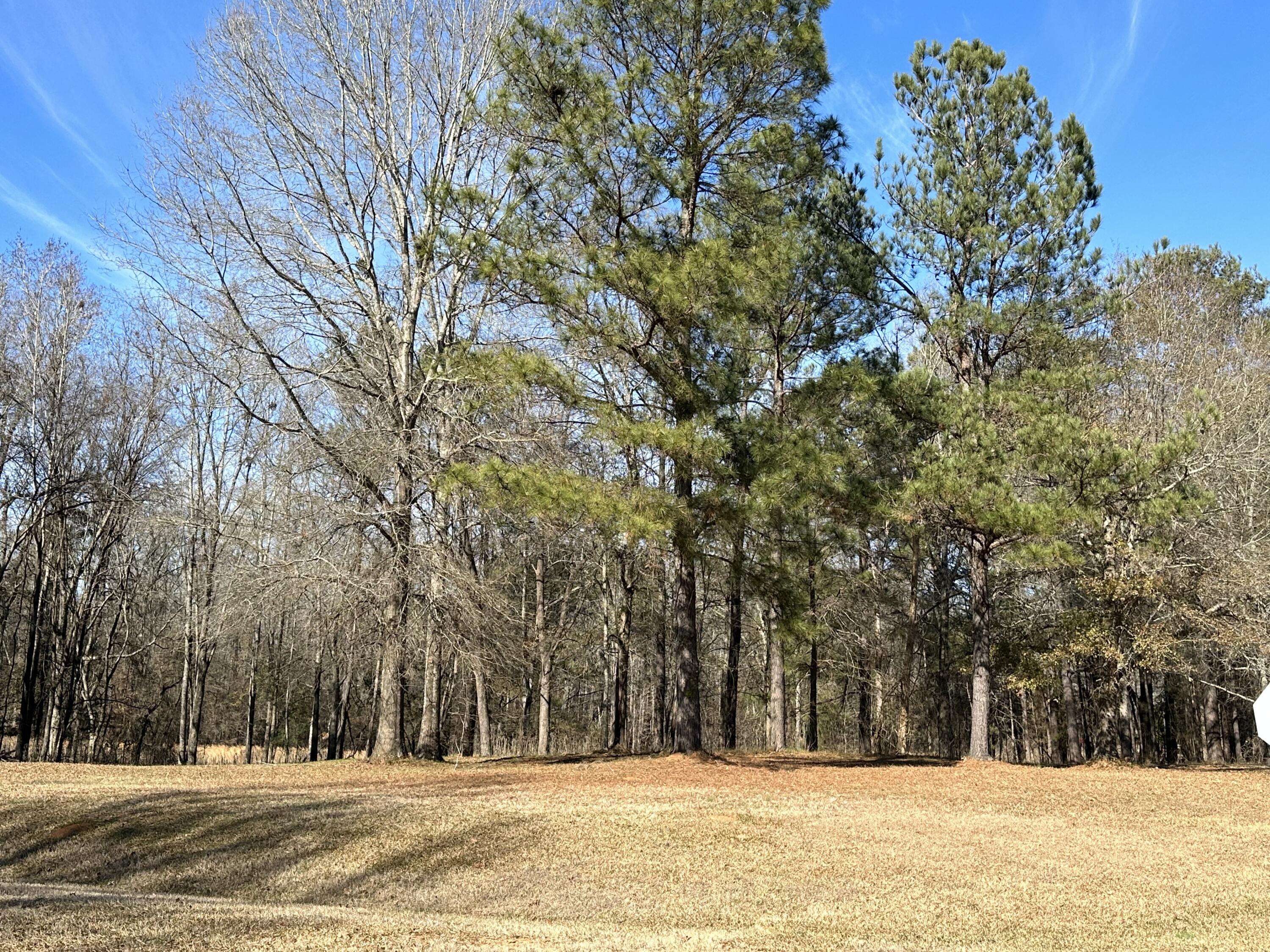 37 Crestridge Dr (Lot 37) DR, Waynesboro, GA 30830