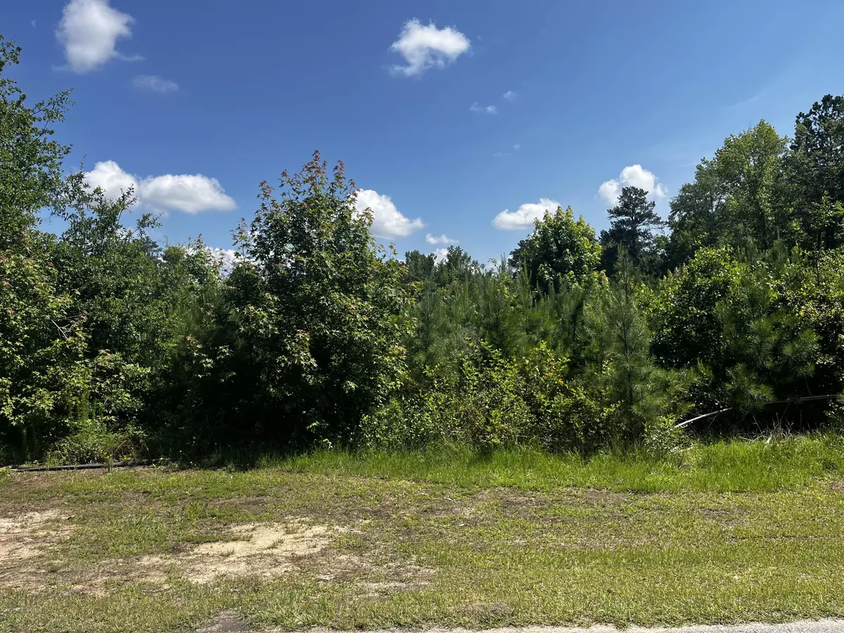 Wrens, GA 30833,0 Young ST