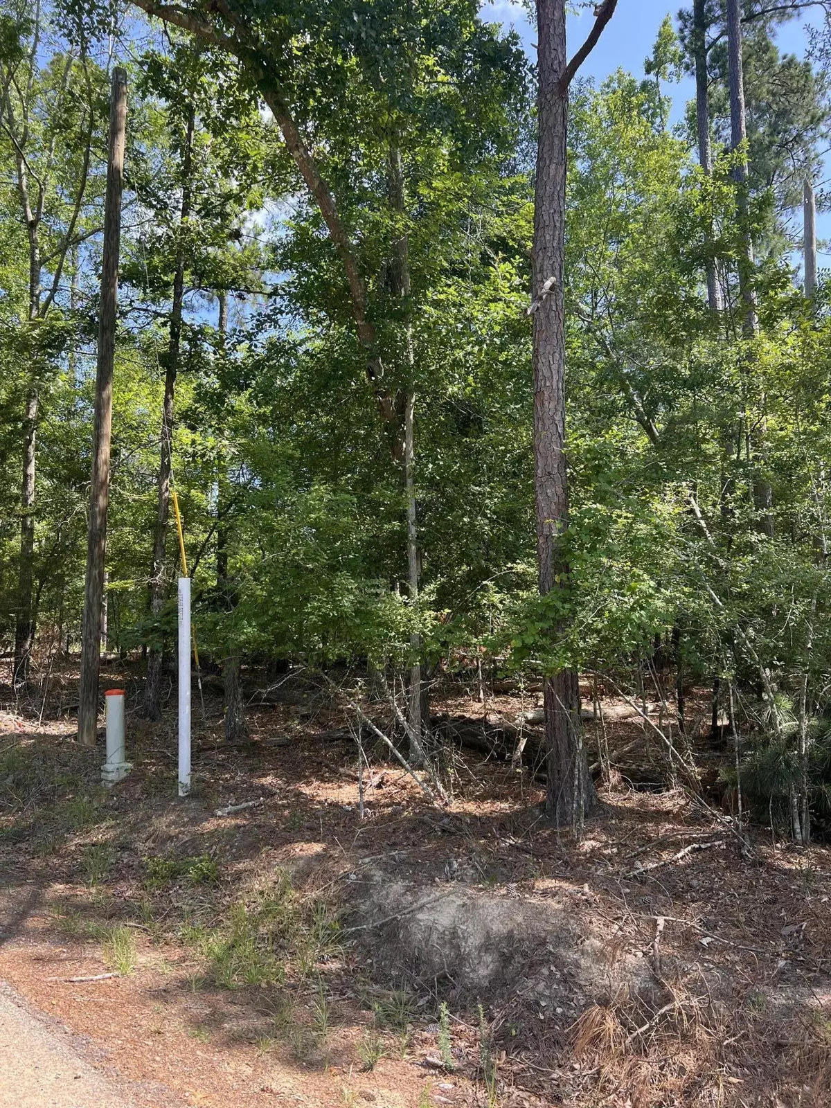 Lincolnton, GA 30817,Lot 112 Pawnee DR