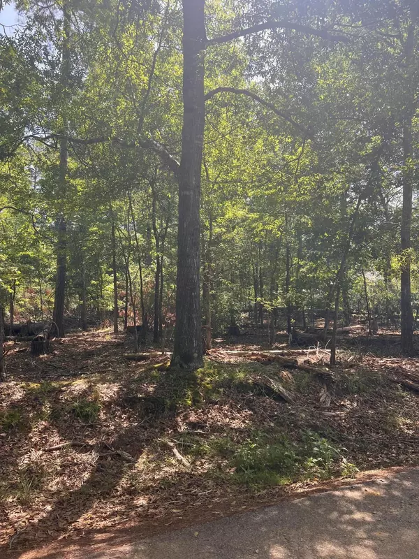 Lincolnton, GA 30817,Lot 112 Pawnee DR