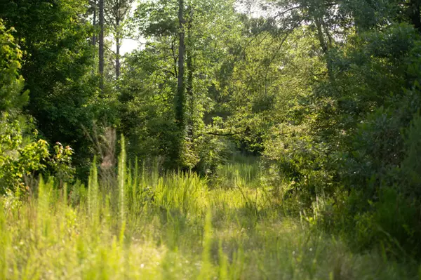 Crawfordville, GA 30631,2719 NE Silas Mercer RD