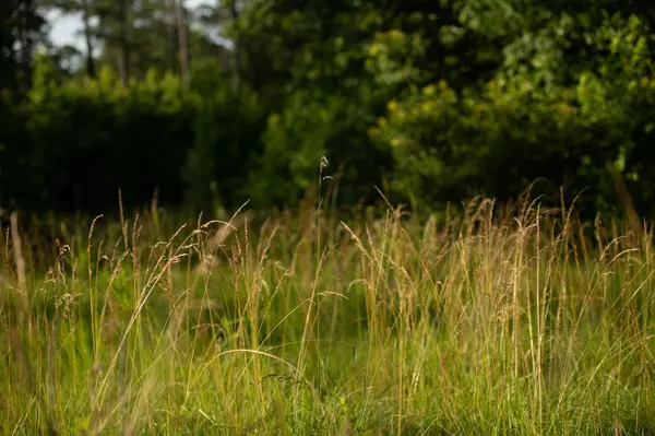 Crawfordville, GA 30631,2719 NE Silas Mercer RD