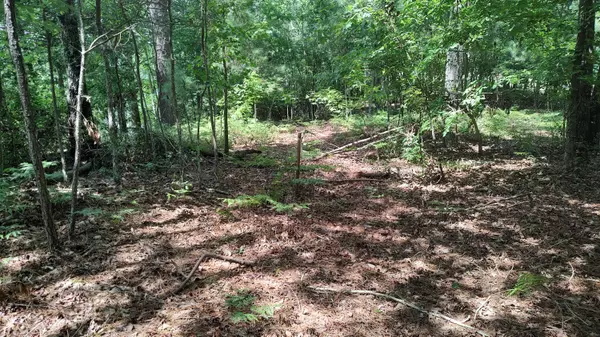 Batesburg-leesville, SC 29006,203 Saluda Bluff RD