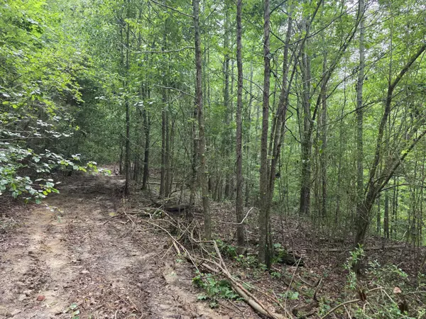 Hephzibah, GA 30815,2031 Mcdade RD