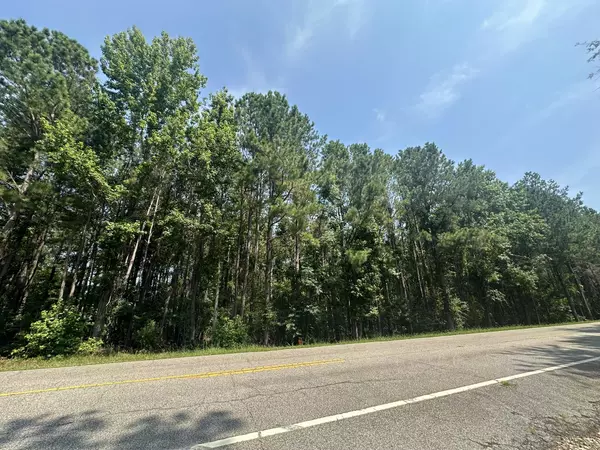 Appling, GA 30802,Lot 1-E Ridge RD