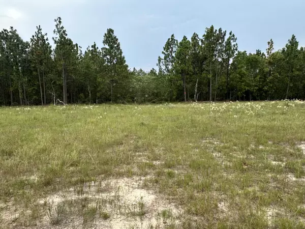 Blythe, GA 30805,2070 Greenland RD