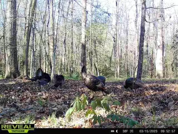 Girard, GA 30426,0 Smith Chapel Rd