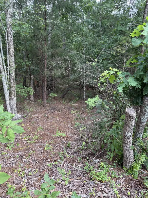 Lot 15 Overlook PT, Mccormick, SC 29835