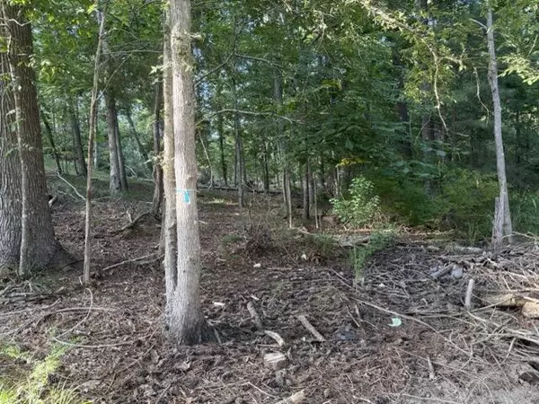 Modoc, SC 29838,Lot 149 Forrest DR