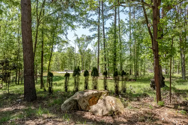 Lincolnton, GA 30817,1250 Mosley RD