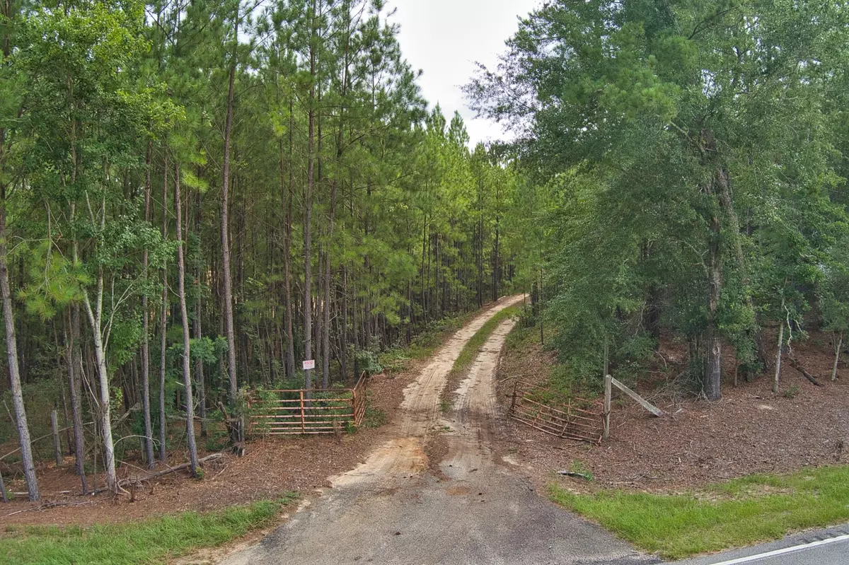 Salley, SC 29137,64.7 Acres Salley RD