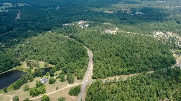 Trenton, SC 29847,17a Mt. Zion