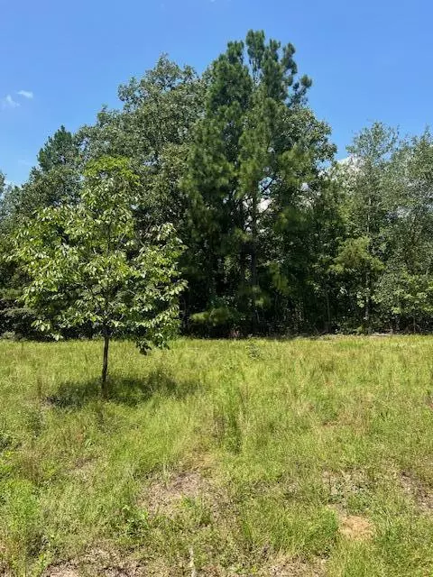 Louisville, GA 30434,0 Gough RD