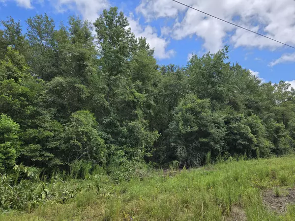 84 Bay ST, Beech Island, SC 29842