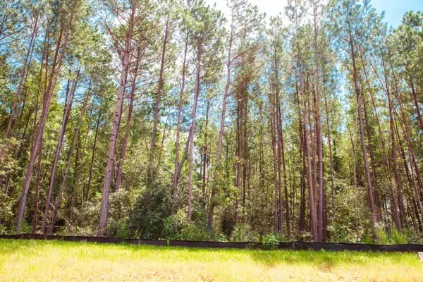 Lot 16 Leyland CT, Clarks Hill, SC 29821